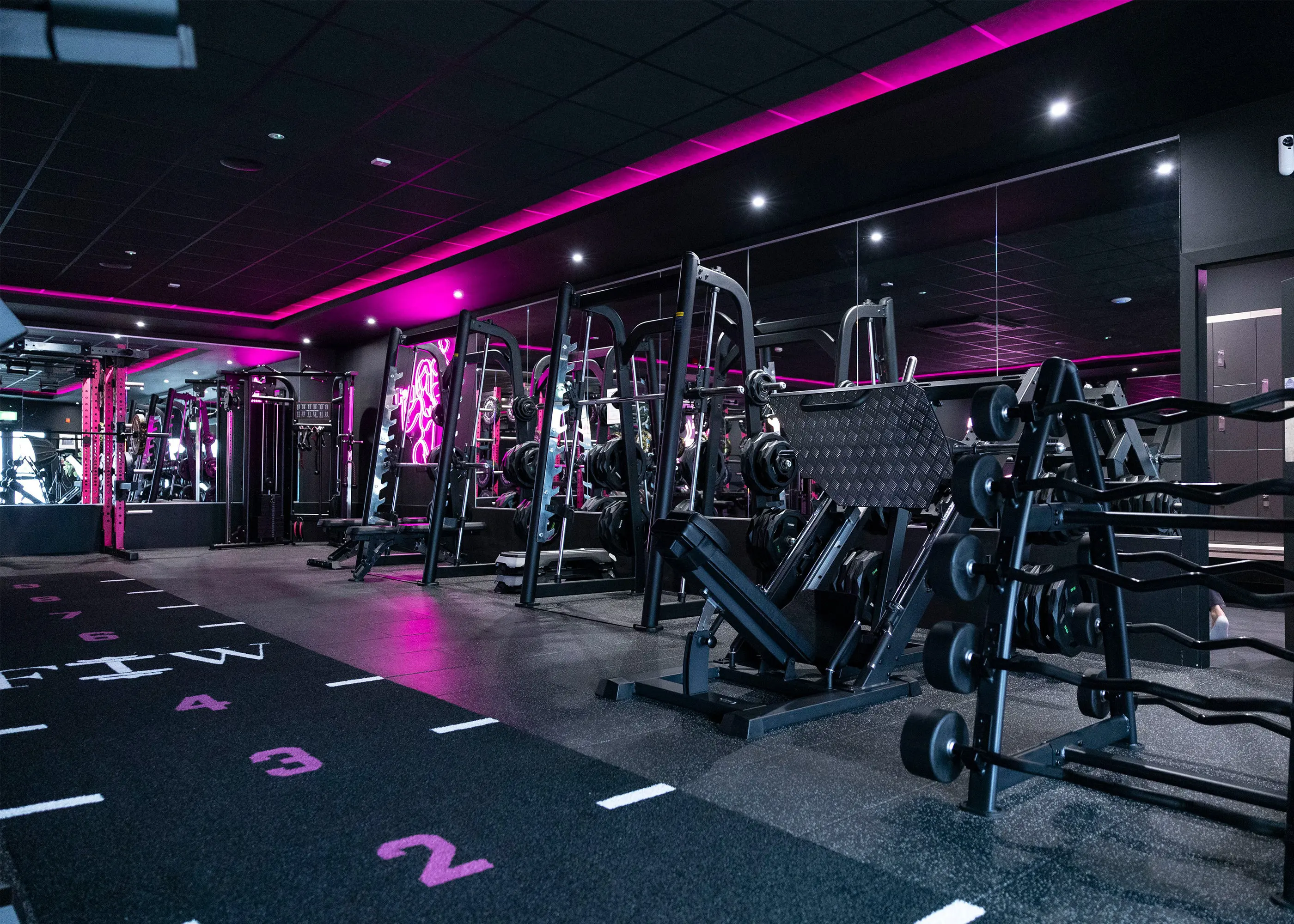 Elevate Your Training Experience